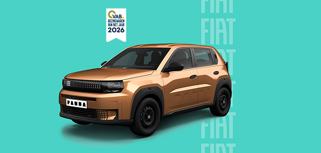 GRANDE PANDA HYBRID POP