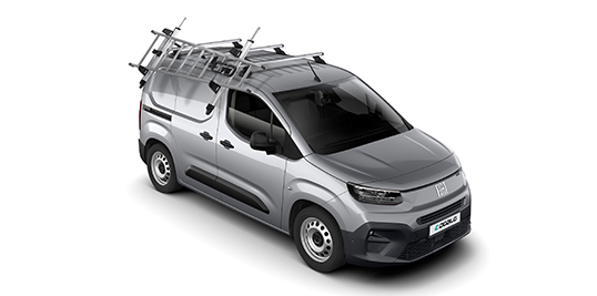 Fiat Professional dakrail en ladder